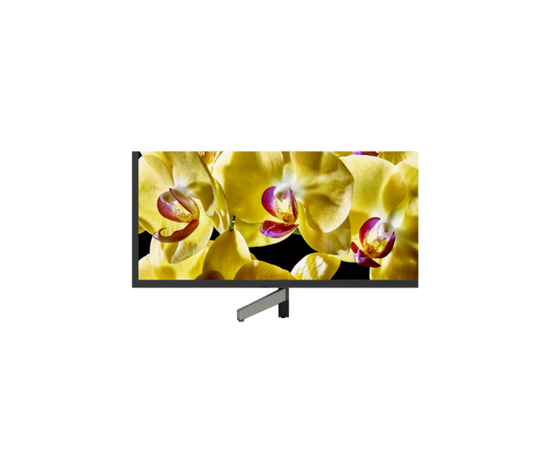 Sony KD-49XG8096 - 507598 - zdjęcie 7
